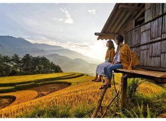 Mù Cang Chải mùa lúa đổ. (Ảnh: BlogAnChoi)