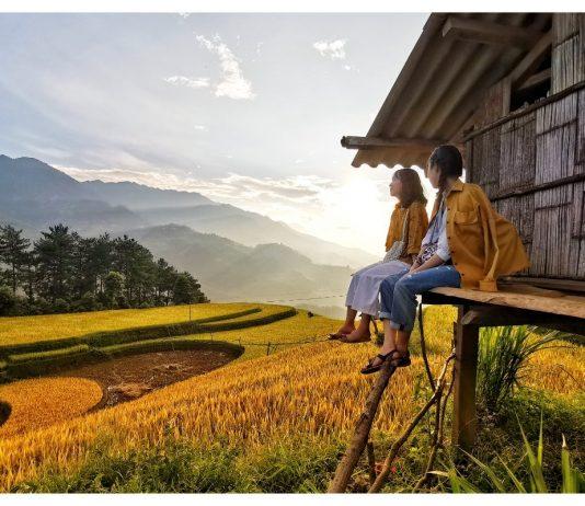 Mù Cang Chải mùa lúa đổ. (Ảnh: BlogAnChoi)