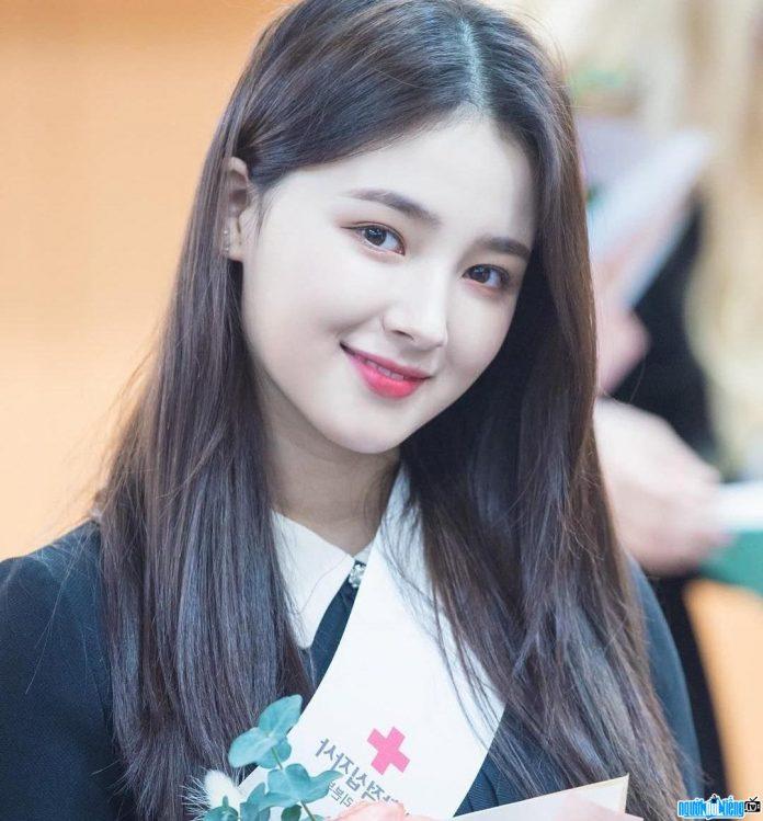 nancy momoland