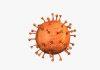 Virus corona ( nguồn : internet )