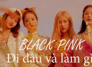 Hơn 10 tháng Black Pink không comeback, 4 thành viên đi đâu và làm gì? cover
