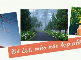 đà lạt mùa đẹp nhất