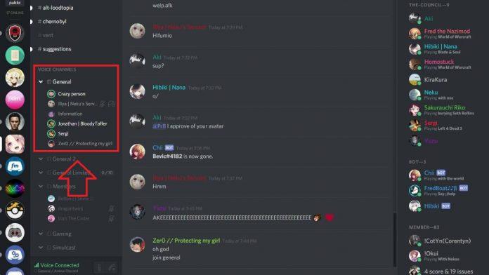 Giao diện voice chat của Discord (Nguồn: internet)