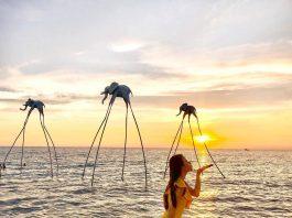 5 trải nghiệm “bằng giá nào cũng phải thử” khi du lịch Phú Quốc du-lich-phu-quoc-5