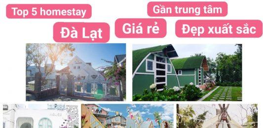 Ảnh bìa