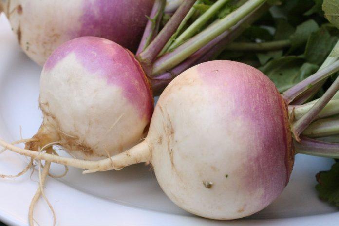 củ cải turnip