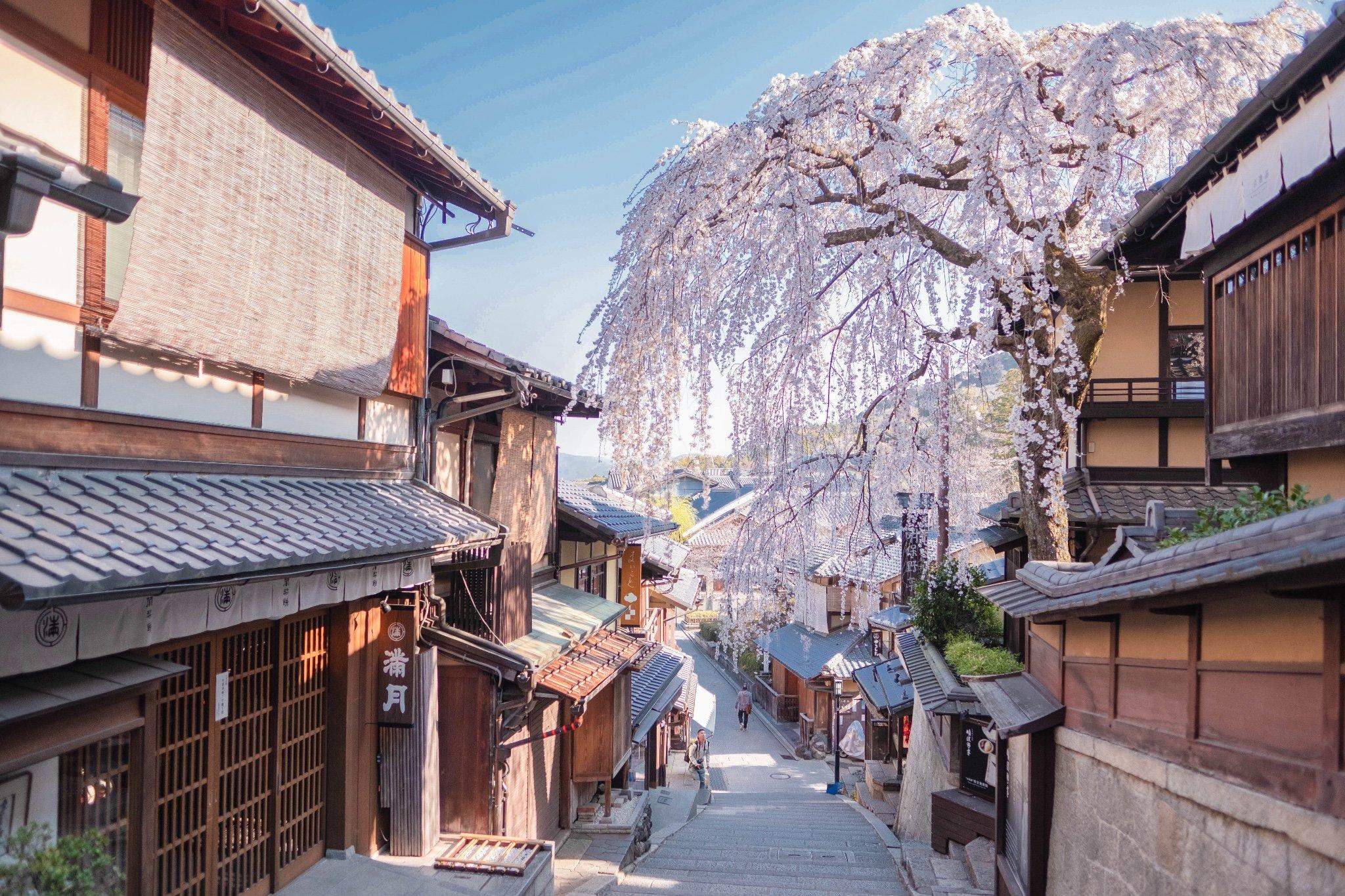 Hãy chiêm ngưỡng hình ảnh tuyệt đẹp về hoa anh đào Kyoto, biểu tượng của sự tinh khiết và nổi tiếng trên khắp thế giới. Đây là cơ hội để bạn mơ mộng và thưởng thức vẻ đẹp thần tiên của cảnh quan Nhật Bản. Hãy yêu cuộc sống và trân trọng những khoảnh khắc này.
