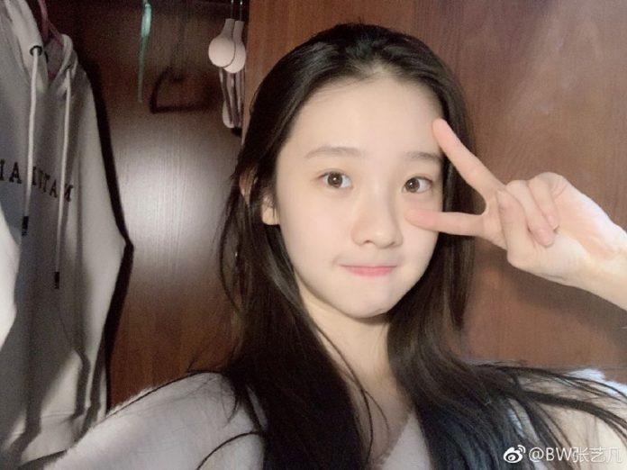 trương nghệ phàm