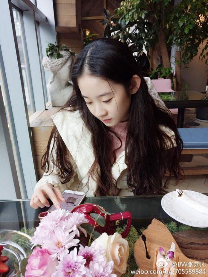 trương nghệ phàm