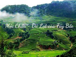 Mộc Châu - Đà Lạt của Tây Bắc. (Nguồn: Internet)
