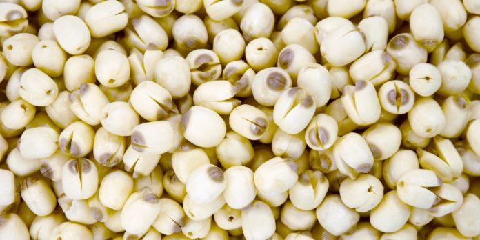 Các thành phần trong hạt sen giúp dưỡng tâm, an thần (Ảnh: Internet) Các thành phần trong hạt sen giúp dưỡng tâm, an thần (Ảnh: Internet)