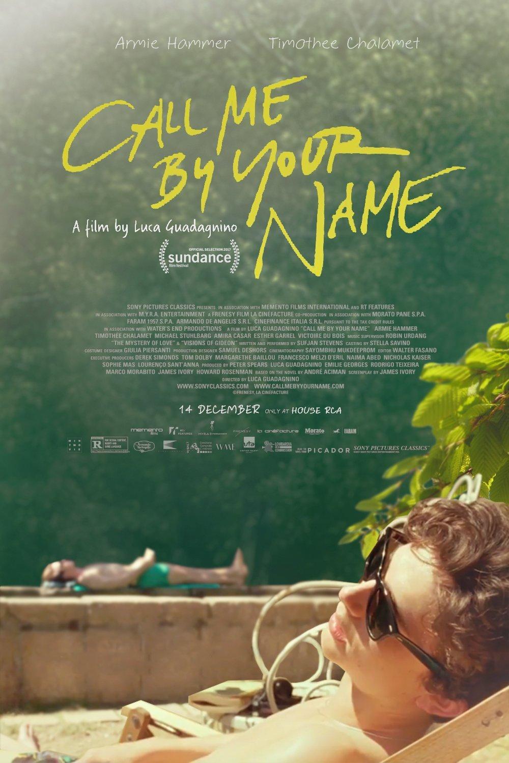 Poster phim Call Me By Your Name. Ảnh: Internet