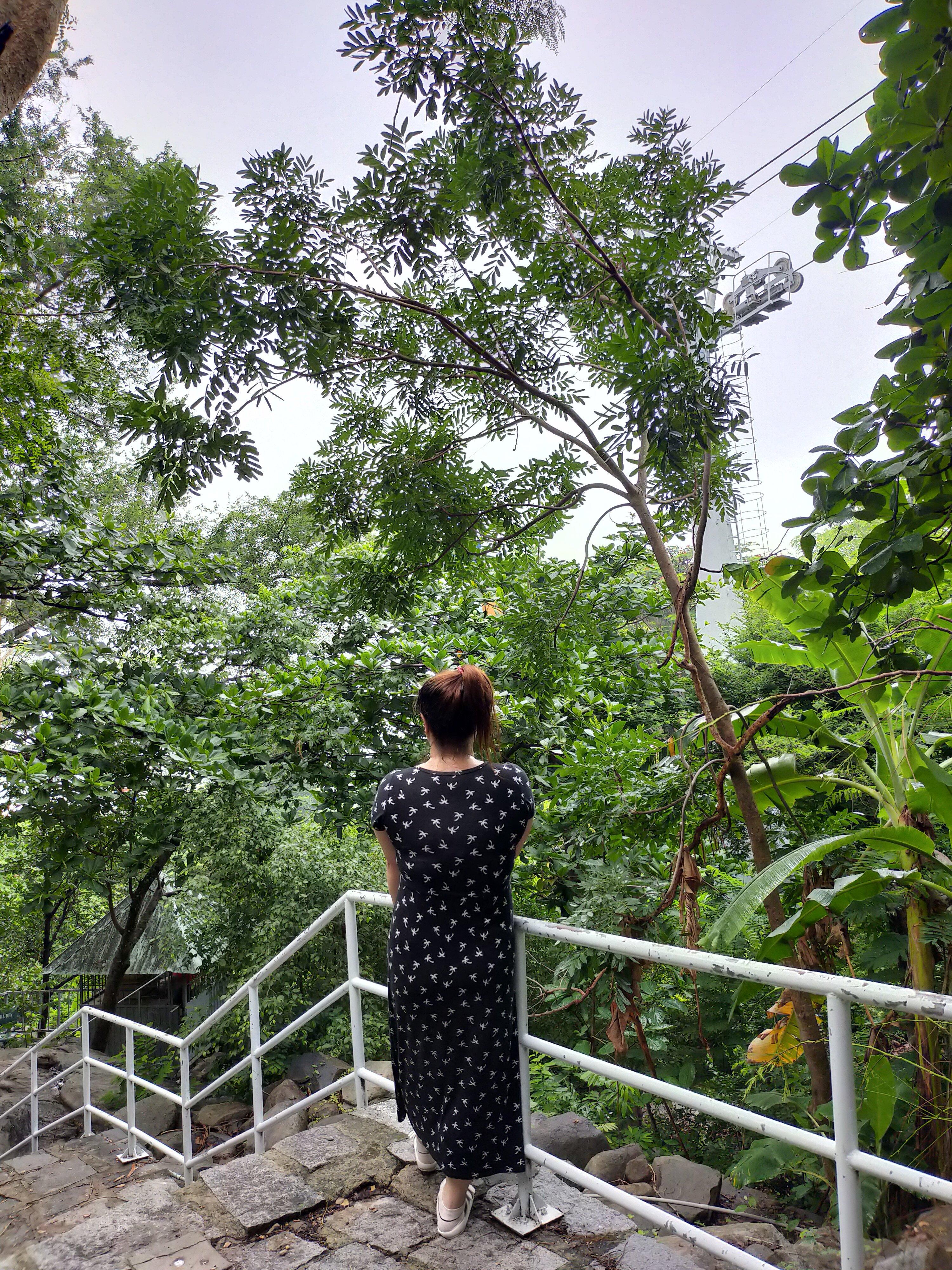 Cảnh thiên nhiên dọc đường lên Chùa Bà thật thơ mộng (ảnh: Đỗ Khánh Ngọc)