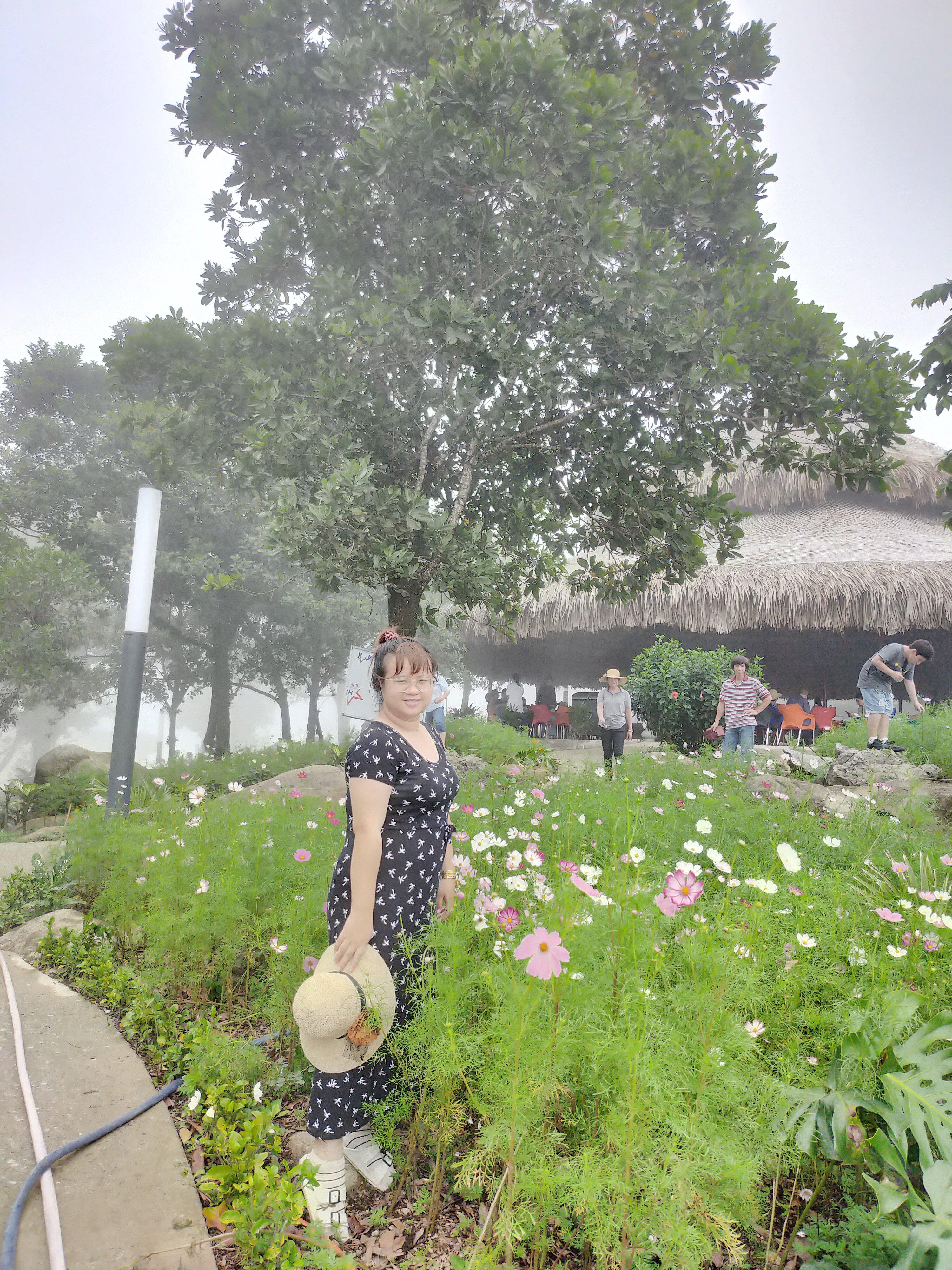 Đỉnh Bà Đen được trồng nhiều loài hoa đầy đủ màu sắc như ở Đà Lạt (ảnh: Đỗ Khánh Ngọc)