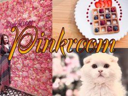 Pinkroom căn phòng cà phê mang màu hồng ngọt ngào
