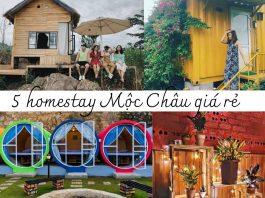 Homestay mộc châu giá rẻ. (Nguồn: Internet)