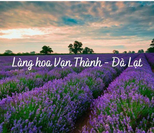 Làng hoa Vạn Thành - Đà Lạt. (Nguồn: Internet)