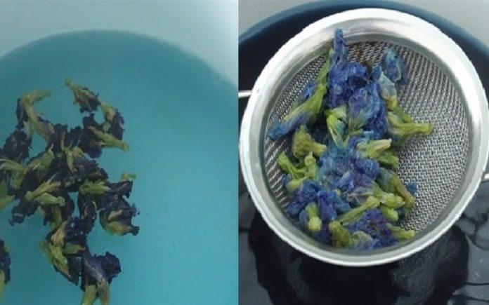 Cho hoa đậu biếc vào nồi nước sôi đun đến khi có màu xanh đậm (Nguồn: Cooky TV)