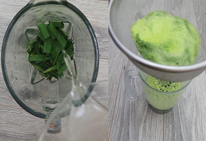 Lá dứa xay nhuyễn với nước, lọc qua rây để lấy nước cốt (Nguồn: Internet)