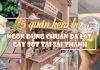 5 quán kem bơ ngon đúng chuẩn Đà Lạt gây sốt tại Sài Thành (Nguồn: Internet)