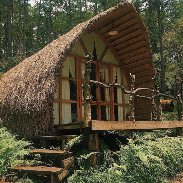 Căn gác gỗ nhỏ nơi đây (ảnh: Instagram @meodien32)