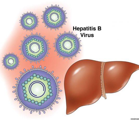 11 giải đáp cho những thắc thắc mắc xung quanh bệnh viêm gan B (Nguồn: Internet).