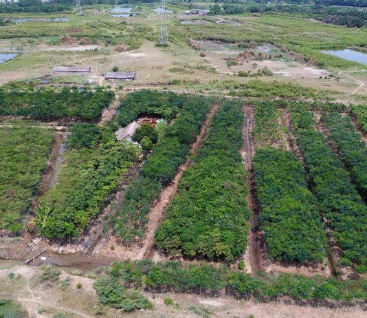 Dự án Bắc Phước Kiển trước nguy cơ bị thu hồi vì vướng pháp lý Đã gần 4 năm nhưng dự án vẫn dậm chân tại chỗ (Ảnh: internet)
