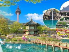 Du lịch Hàn Quốc nên mua gì? (Nguồn: Internet)