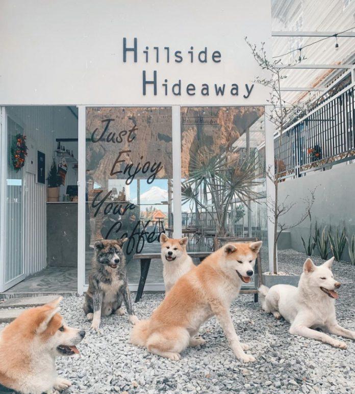 (ảnh: Instagram @hillside.hideaway)