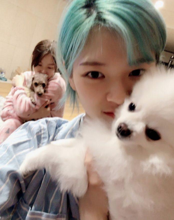 tJeongyeon ghen tị với chú chó của mình (ảnh: internet)