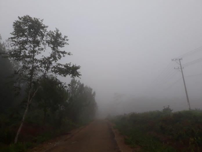 Sương sớm ở Măng Đen (Nguồn: BlogAnChoi)