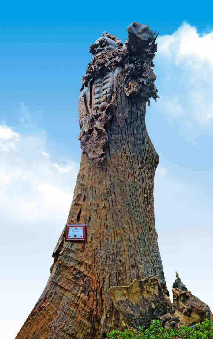 Tượng Bồ Đề Đạt Ma bằng gỗ lớn nhất tại chùa Linh Phước ( nguồn: Internet )