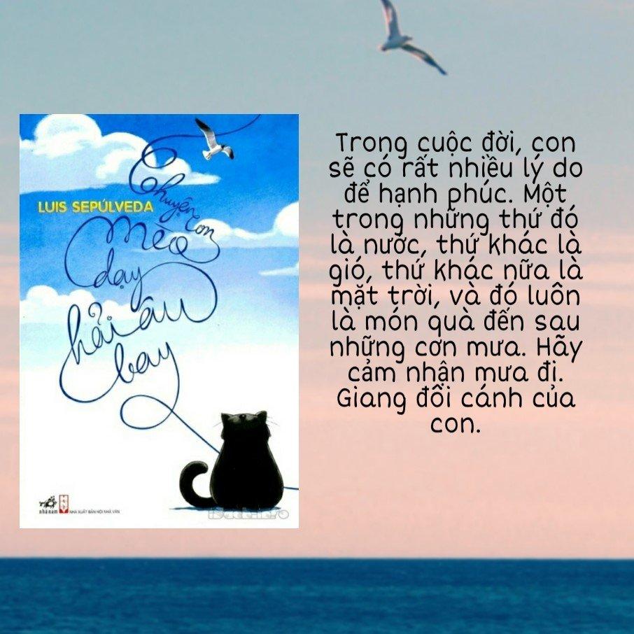 Câu nói trong sách thiếu nhi Chuyện con mèo dạy hải âu bay (Nguồn: BlogAnChoi).