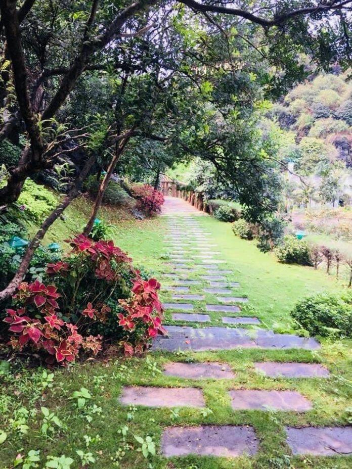 Con đường dẫn lên đỉnh núi cực đẹp ( nguồn: FB Tuan Mai Resort )