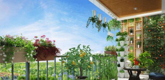 Chọn hướng nhà cho cuộc sống khỏe mạnh Tầm nhìn thông thoáng giải tỏa căng thẳng (Ảnh: Internet)