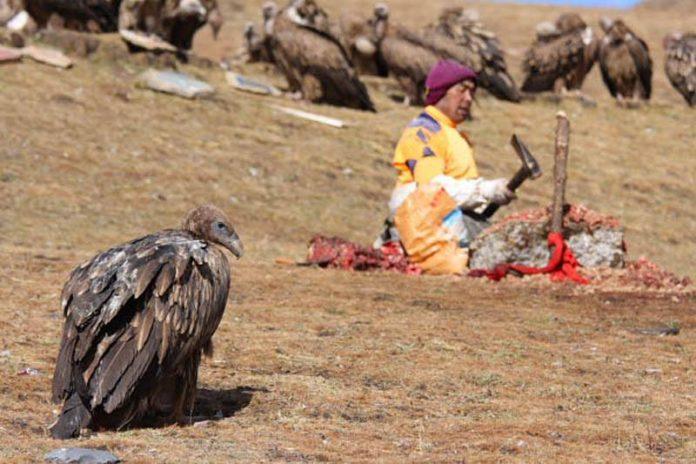 Nghề thầy cúng rùng rợn nhất là ở tục thiên táng tại Tây Tạng. (Ảnh: Internet)
