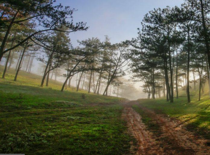 Tổng hợp phong cảnh thiên nhiên buồn (Nguồn: Internet) Tổng hợp phong cảnh thiên nhiên buồn (Nguồn: Internet)