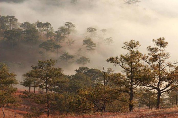 Tổng hợp phong cảnh thiên nhiên buồn (Nguồn: Internet)