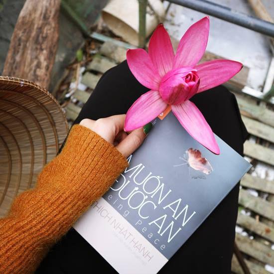 Bìa sách Muốn An Được An (Ảnh: Internet)