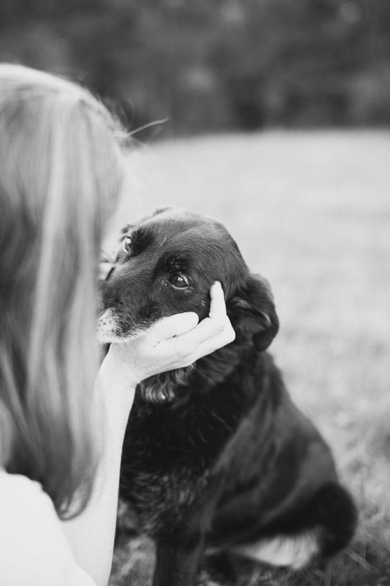 Ảnh buồn động vật (Nguồn: Internet)