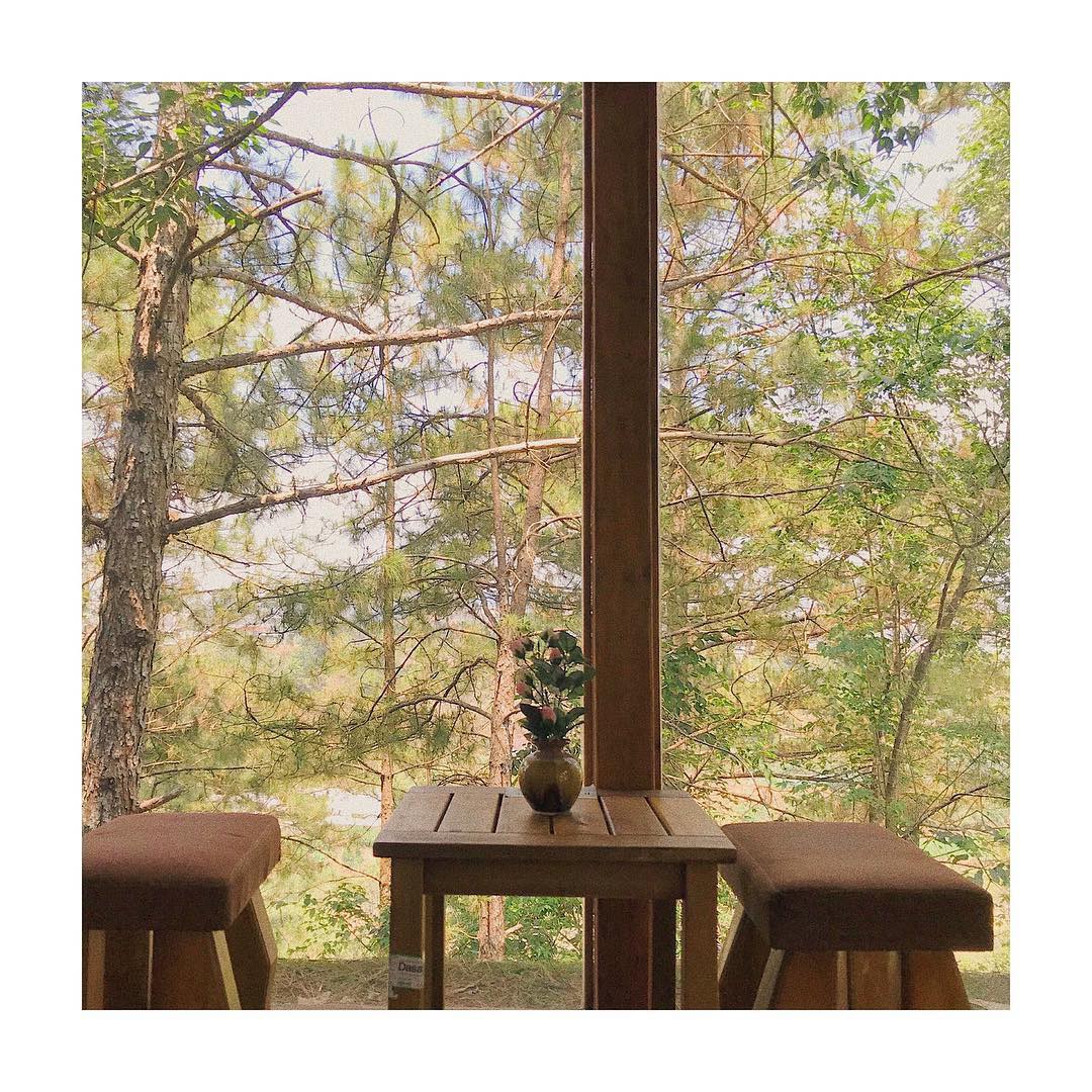 Ngồi trong phòng nhâm nhi tách trà, ngắm nhìn ra đồi thông xanh mướt quả là điều tuyệt vời ( nguồn: Internet )