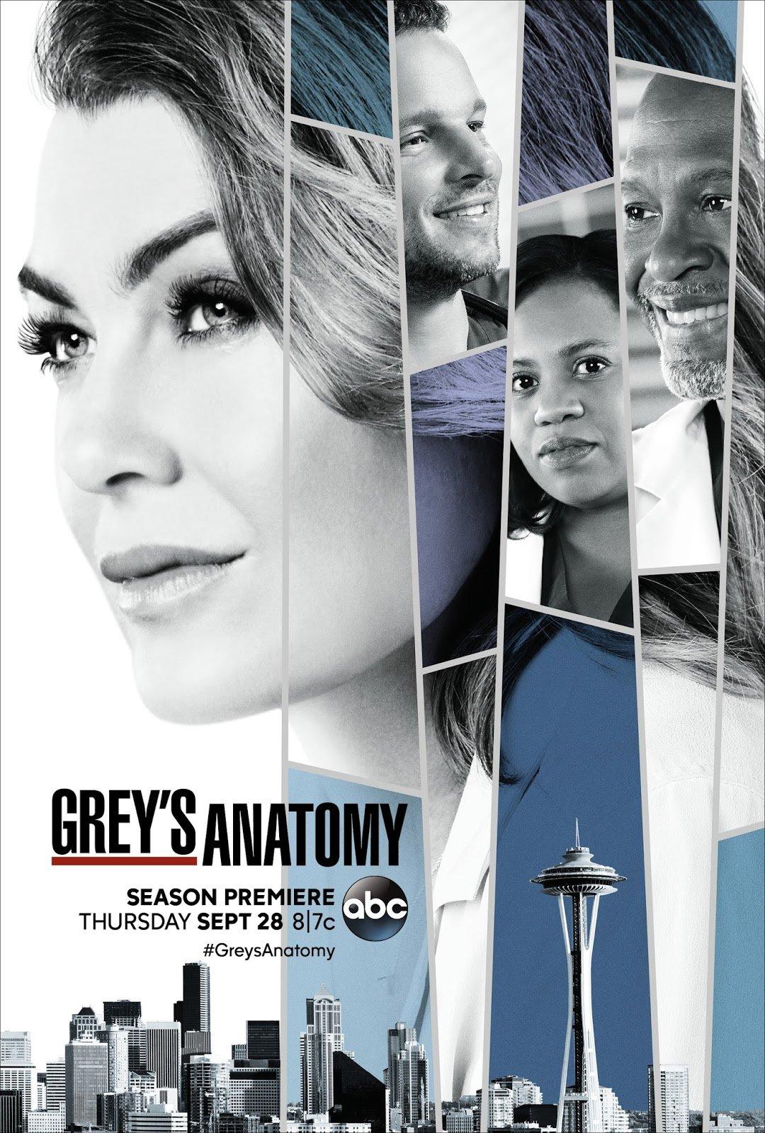 Poster series phim hay về y khoa Grey's Anatomy. (Ảnh: Internet)