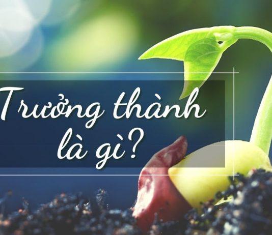 Trưởng thành là gì? (Ảnh: internet)