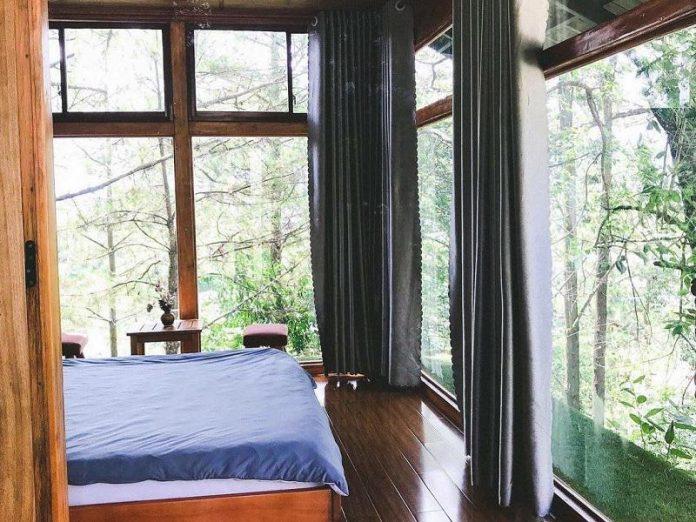 View phòng ngủ với cửa kính lớn nhìn ra đồi thông xanh mướt ( nguồn: Internet )
