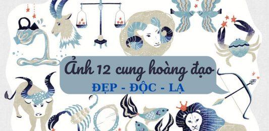ảnh 12 cung hoàng đạo (Ảnh: BlogAnChoi)