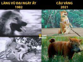 Cậu vàng ngày ấy và bây giờ (Nguồn: Internet)