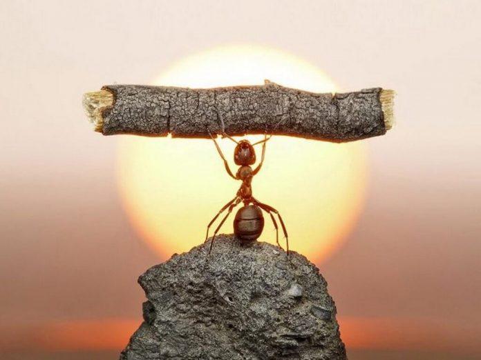 Những câu châm ngôn sống hay sẽ truyền động lực cho bạn. (Ảnh: Internet)