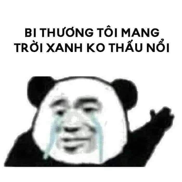 Meme là gì? 300+ meme hài, chất nhất quả đất để bạn comment dạo thả ga ...