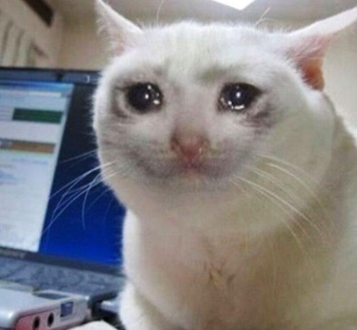 Meme là gì? 300+ meme hài, chất nhất quả đất để bạn comment dạo thả ga ...