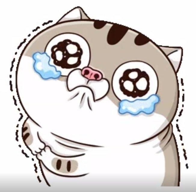 Meme là gì? 300+ meme hài, chất nhất quả đất để bạn comment dạo thả ga ...